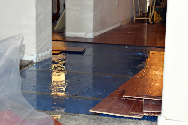 Professional Burst Pipe Cleanup technician working in Allenwood, NJ