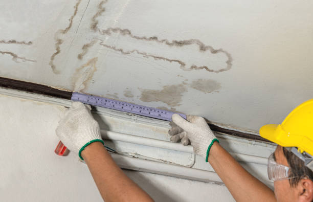 Reliable Burst Pipe Cleanup contractor in Allenwood, NJ by Water Damage Irwin